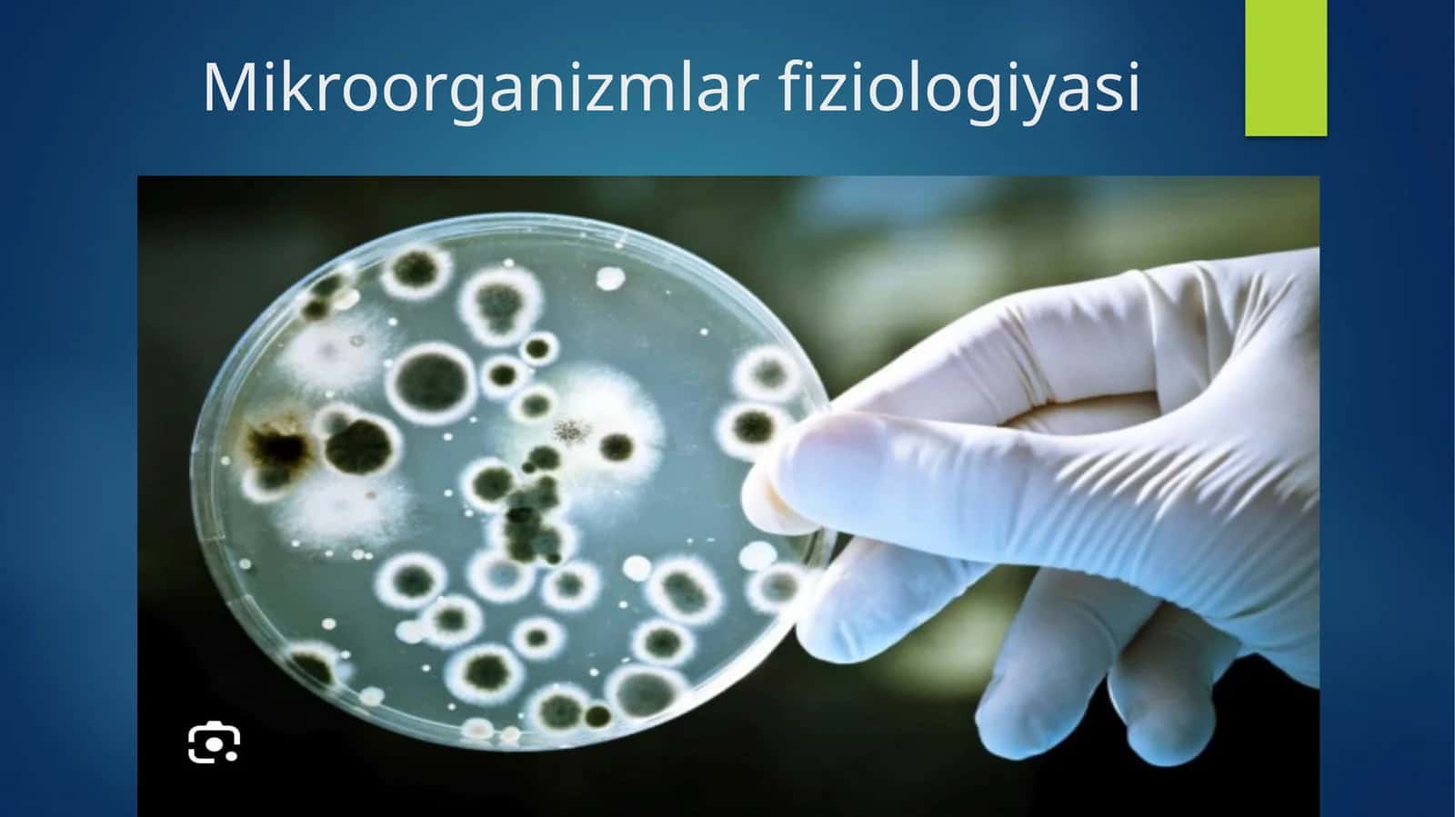 Mikroorganizmlar fiziologiyasi