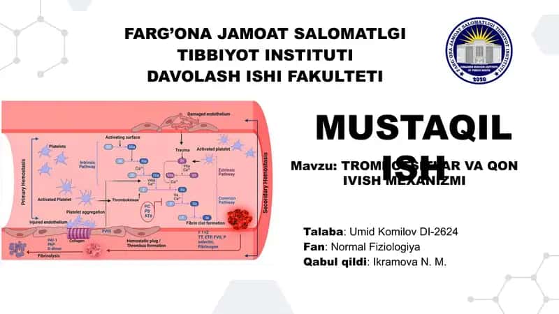 TROMBOTSITLAR VA QON IVISH MEXANIZMI Fiziologiya