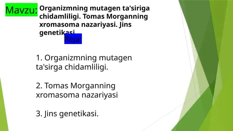 Organizmning mutagen ta'siriga chidamliligi. Tomas Morganning xromasoma nazariyasi. Jins genetikasi