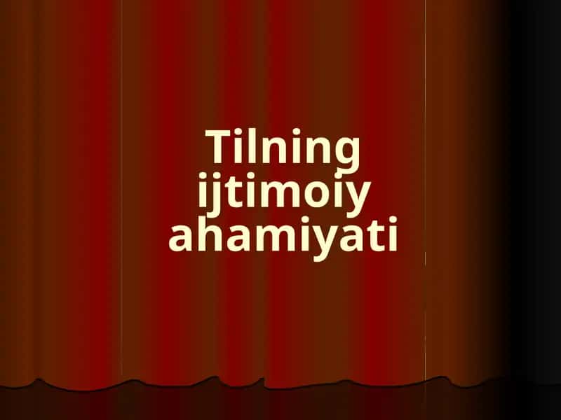Tilning ijtimoiy ahamiyati