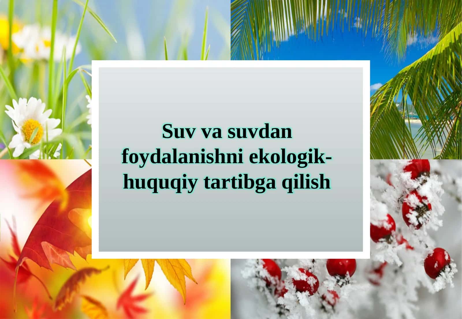 Suv va suvdan foydalanishni ekologik-huquqiy tartibga qilish