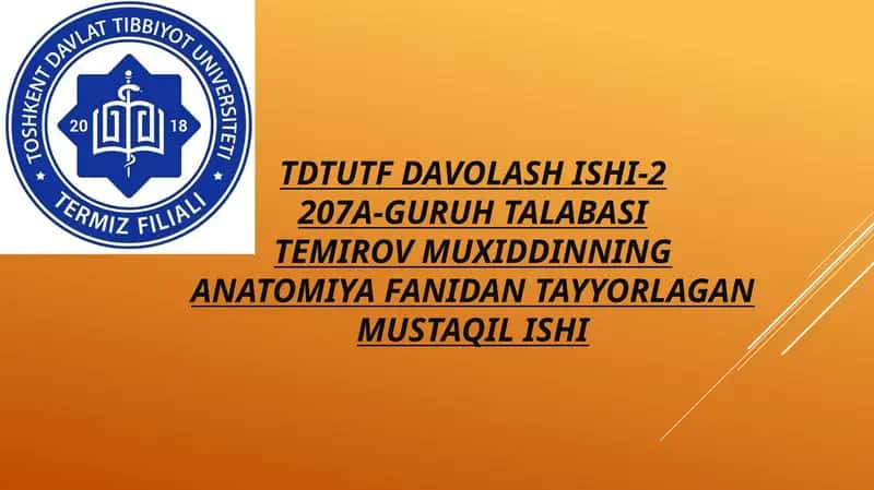 Yon qorincha variant anatomiyasi klinik ahamiyati