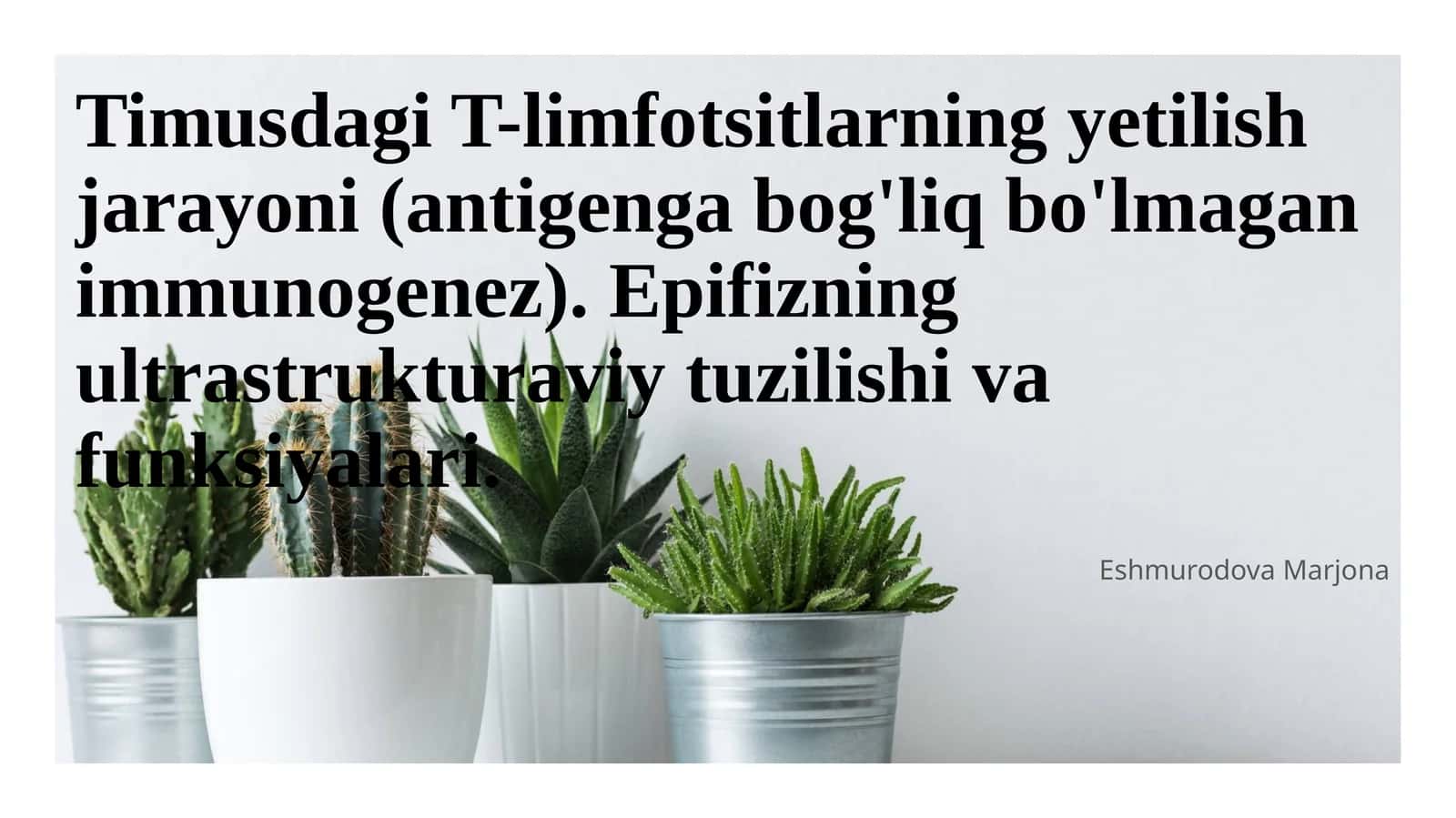Timusdagi T-limfotsitlarning yetilish jarayoni (antigenga bog'liq bo'lmagan immunogenez). Epifizning ultrastrukturaviy tuzilishi va funksiyalari