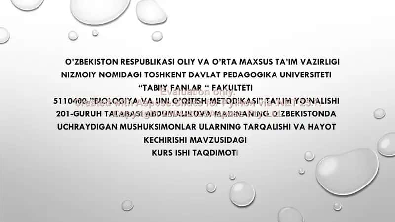 Mushuksimonlar oilasi tarqalishi va hayot kechirishi