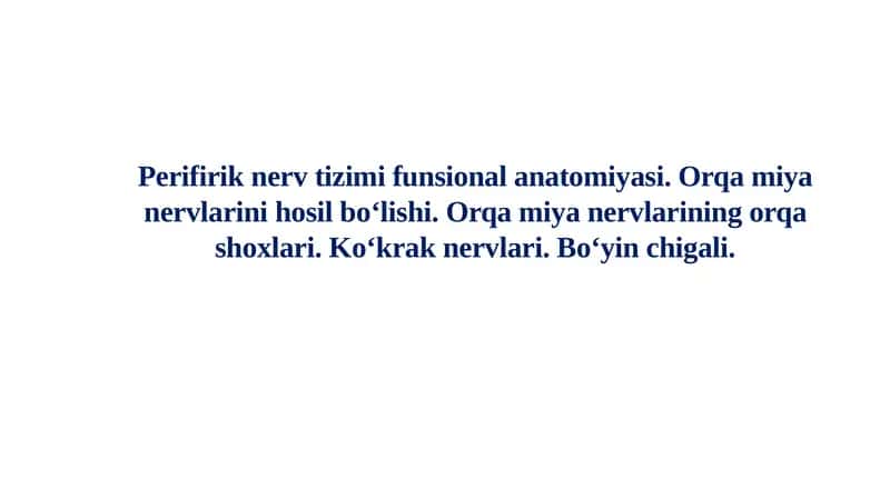 Perifirik nerv tizimi funksional anatomiyasi