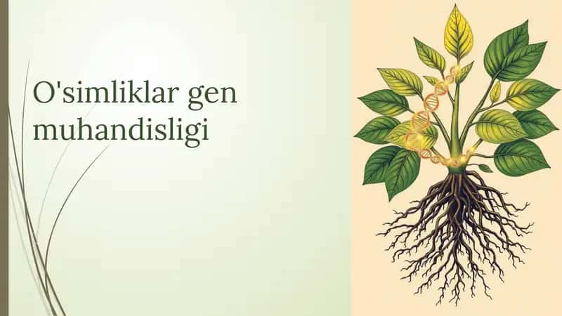 O'simliklar gen muhandisligi