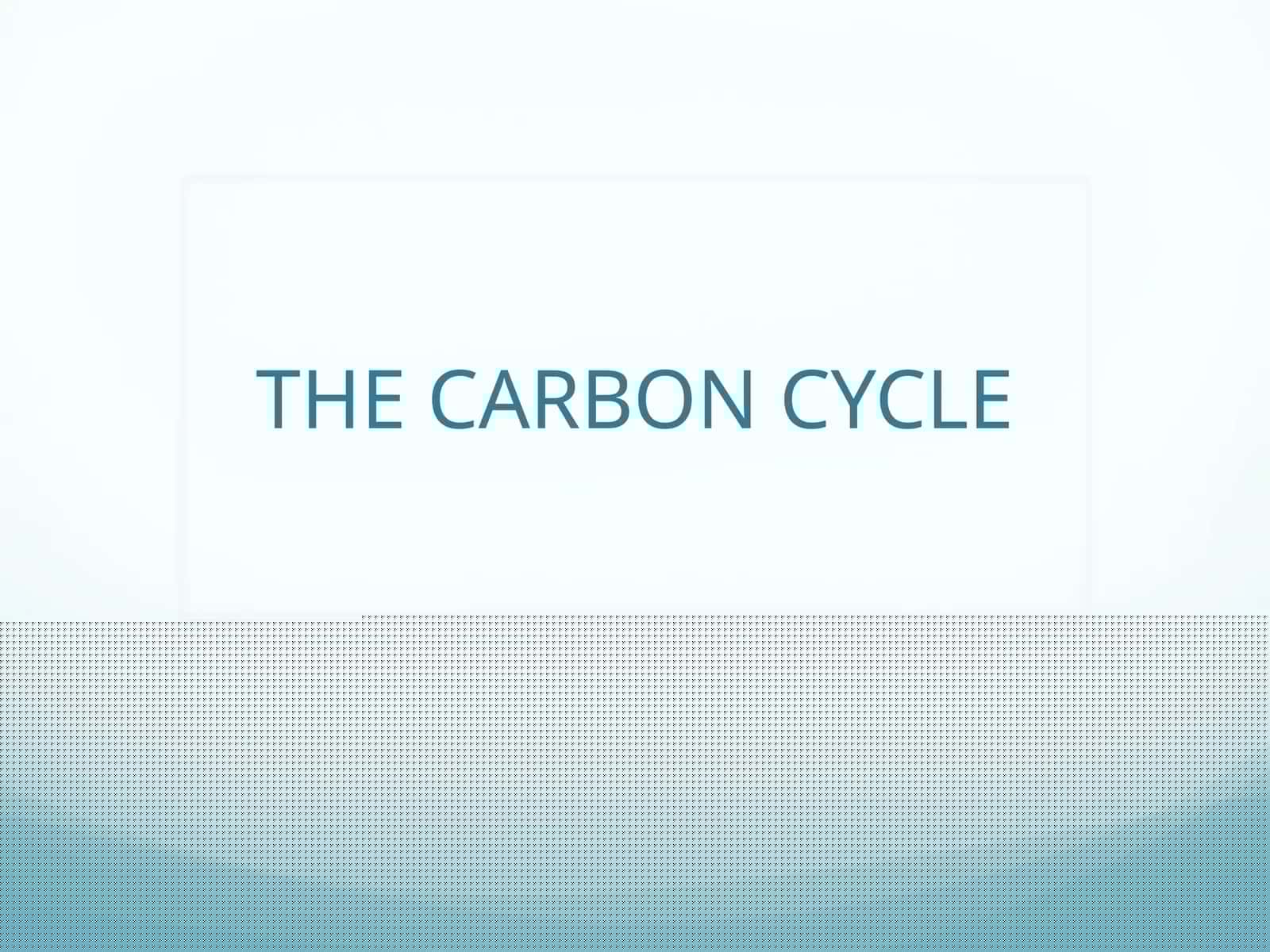 The Carbon Cycle