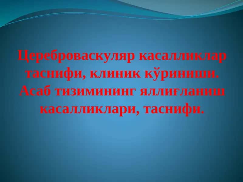 Физиология головного мозга